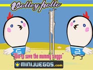 Volleypollo Oyunu